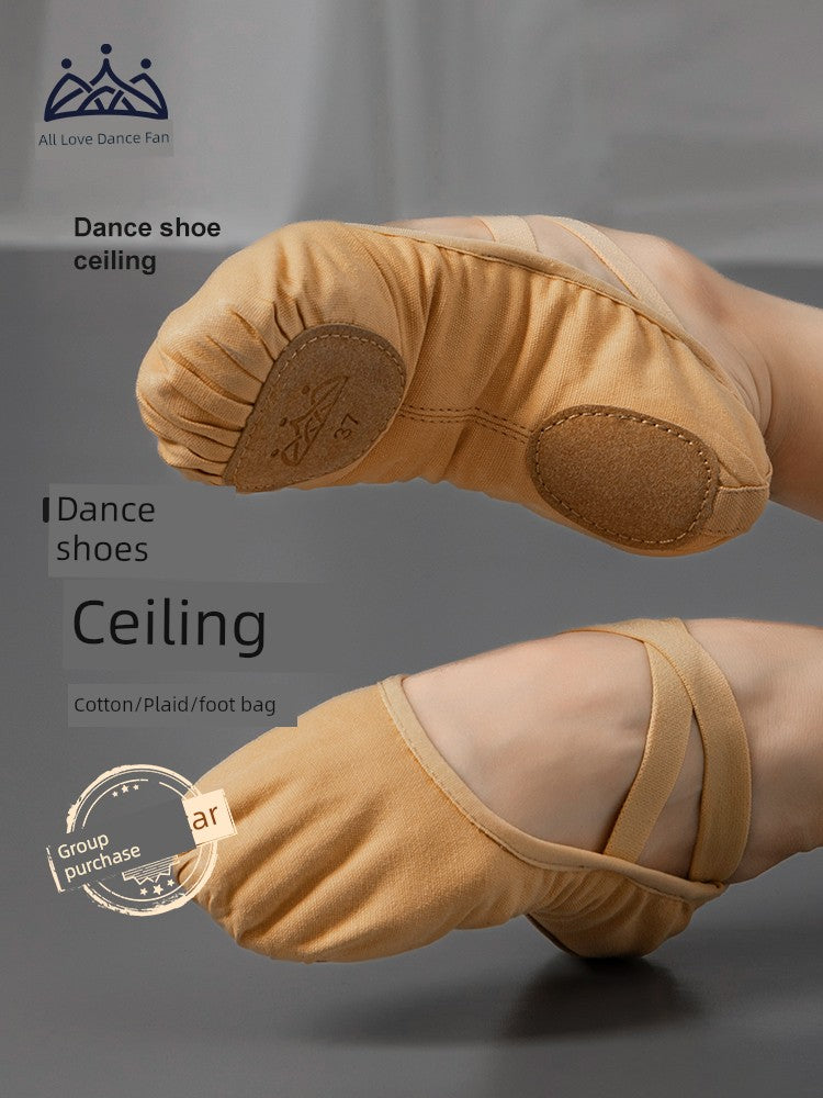 Zhongai Dance Garden Soft Bottom Kids Professional Body Dancing Shoes