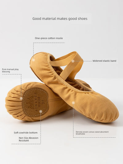 Zhongai Dance Garden Soft Bottom Kids Professional Body Dancing Shoes